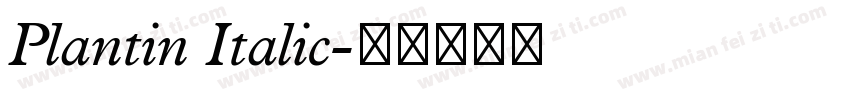 Plantin Italic字体转换